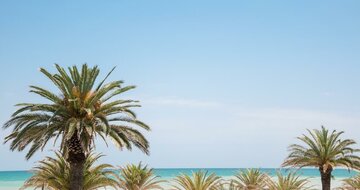 Palazzina Cala Luna- pláž - zájazd vlastnou dopravou CK Turancar - Taliansko - San Benedetto del Tronto - Palmová riviéra