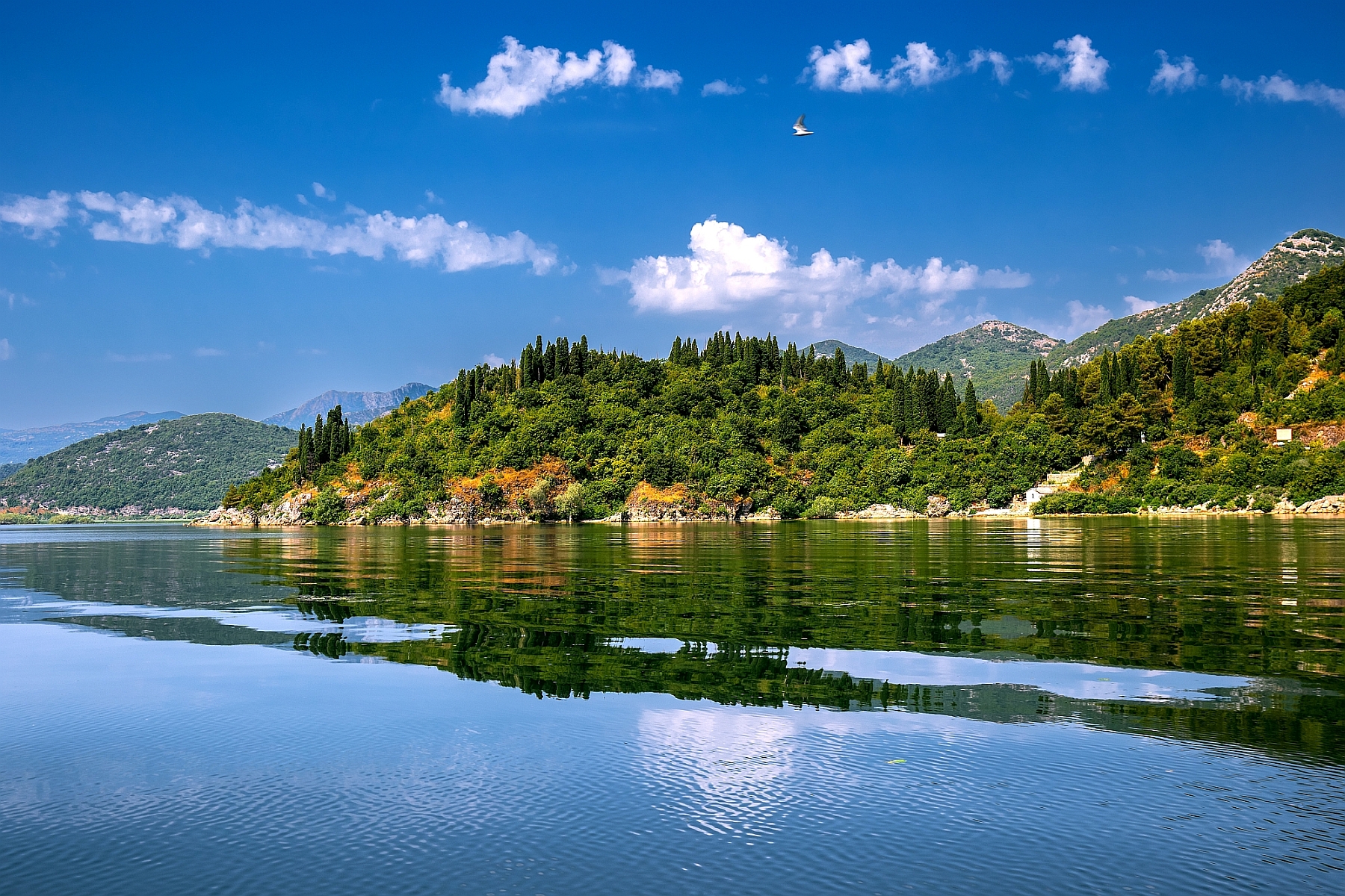 Albánsko výlety - Skadarské jazero