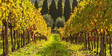 História, pohár vína, dokonalá scenéria. Odleťte do Toskánska