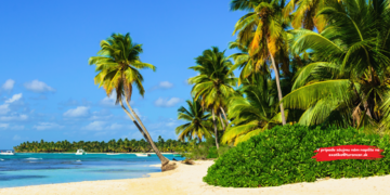 Exotika na mieru: sprostredkujeme vám nezabudnuteľný zájazd