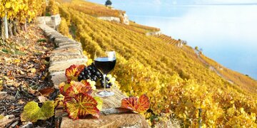 Zážitky, ktoré majú zmysel: objavujte s nami svet aj v roku 2026