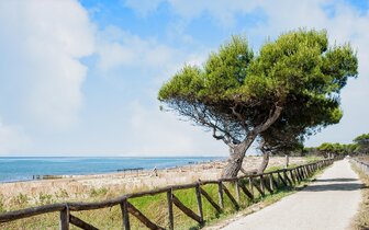 Apartmány Perseo až pre 7 osôb - CK Turancar - Taliansko, dovolenka v centre Bibione autobusom aj autom