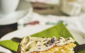 CK Turancar, Jednodňový autobusový poznávací zájazd, Balaton a Tihany