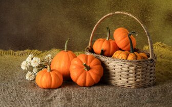 Poznávacie zájazdy CK Turancar, Tekvicové slávnosti, Rakúsko