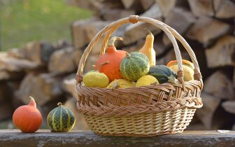 Poznávacie zájazdy CK Turancar, Tekvicové slávnosti, Rakúsko