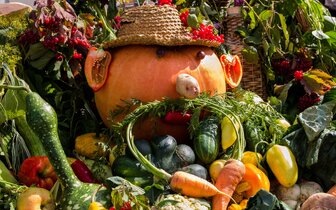 Poznávacie zájazdy CK Turancar, Tekvicové slávnosti, Rakúsko