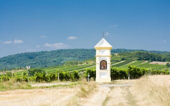 Poznávacie zájazdy CK Turancar, Tekvicové slávnosti, Rakúsko