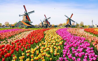 CK Turancar, autobusový poznávací zájazd, Kvetinové Holandsko a Belgicko, Keukenhof, tulipánové polia a veterné mlyny CK Turancar, autobusový poznávací zájazd, Kvetinové Holandsko a Belgicko, Keukenhof, tulipánové polia a veterné mlyny