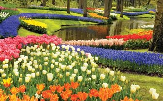 CK Turancar, autobusový poznávací zájazd, Kvetinové Holandsko a Belgicko, Keukenhof, tulipány CK Turancar, autobusový poznávací zájazd, Kvetinové Holandsko a Belgicko, Keukenhof, tulipány