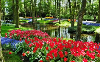 CK Turancar, autobusový poznávací zájazd, Kvetinové Holandsko a Belgicko, Keukenhof, tulipány CK Turancar, autobusový poznávací zájazd, Kvetinové Holandsko a Belgicko, Keukenhof, tulipány
