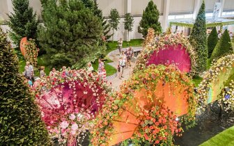 CK Turancar, Jednodňový autobusový poznávací zájazd, Výstava kvetov a záhrad v Tullne