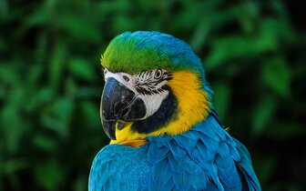 Autobusové poznávacie zájazdy CK Turancar, Česká republika, ZOO Zlín a zámok Lešná