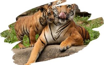 Autobusové poznávacie zájazdy CK Turancar, Česká republika, ZOO Zlín a zámok Lešná