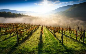 CK Turancar, letecký poznávací zájazd, Toskánske skvosty, oblasť Chianti CK Turancar, letecký poznávací zájazd, Toskánske skvosty, oblasť Chianti