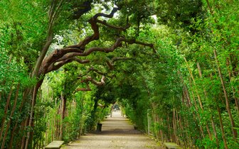 CK Turancar, Letecký poznávací zájazd, Taliansko, Florencia - kolíska renecancie, záhrady Boboli CK Turancar, Letecký poznávací zájazd, Taliansko, Florencia - kolíska renecancie, záhrady Boboli