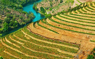 CK Turancar, Letecký poznávací zájazd, Cesta za krásami Portugalska, Douro CK Turancar, Letecký poznávací zájazd, Cesta za krásami Portugalska, Douro