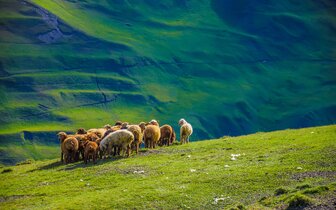 CK Turancar, letecké poznávacie zájazdy, Azerbajdžan - krajina ohňa