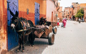 CK Turancar, Letecký poznávací zájazd, Maroko - kráľovské mestá a magická púšť, Marakéš CK Turancar, Letecký poznávací zájazd, Maroko - kráľovské mestá a magická púšť, Marakéš