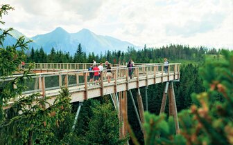 CK Turancar, Autobusový poznávací zájazd, Vysoké Tatry a severný Spiš, Bachledova dolina, chodník korunami stromov CK Turancar, Autobusový poznávací zájazd, Vysoké Tatry a severný Spiš, Bachledova dolina, chodník korunami stromov