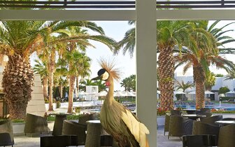 Hotel Aquila Porto Rethymno-reštaurácia-letecký zájazd CK Turancar-Kréta-Anissaras
