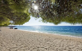 Hotel Alga - Chorvátsko - Tučepi - zájazd CK Turancar