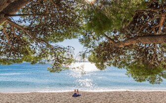 Hotel Alga - Chorvátsko - Tučepi - zájazd CK Turancar