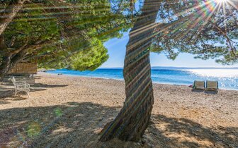 Hotel Alga - Chorvátsko - Tučepi - zájazd CK Turancar