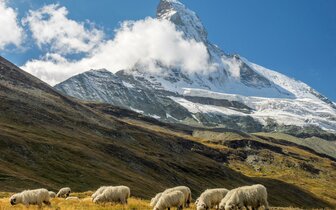 CK Turancar, autobusový poznávací zájazd, Švajčiarsky okruh, Klein Matterhorn