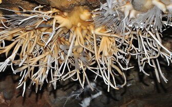 CK Turancar, autobusový poznávací zájazd, Gotická cesta Gemerom, Ochtinská aragonitová jaskyňa