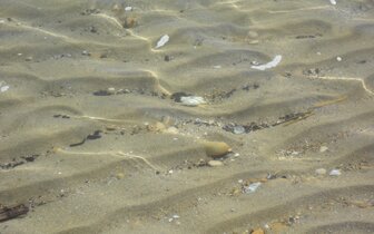 Rezidencia Cherubini - pláž - zájazd vlastnou dopravou CK Turancar - Taliansko, Palmová riviéra, San Benedetto del Tronto