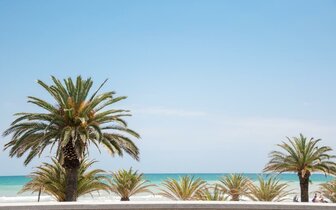 Rezidencia Troiani- okolie - zájazd vlastnou dopravou CK Turancar - Taliansko, Palmová riviéra, San Benedetto del Tronto