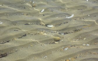 Rezidencia Troiani- pláž - zájazd vlastnou dopravou CK Turancar - Taliansko, Palmová riviéra, San Benedetto del Tronto