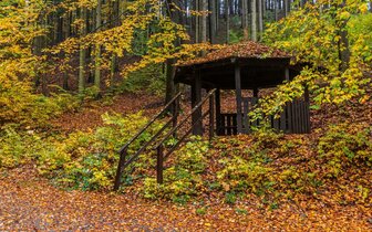 CK Turancar, autobusový poznávací zájazd, Zámky na Orlici - české Loire, Potštejnský les