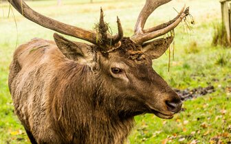 CK Turancar, autobusový poznávací zájazd, Zámky na Orlici - české Loire, Častolovice