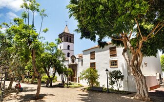 CK Turancar, Letecký poznávací zájazd, Španielsko, Tenerife - sopečný skvost Atlantiku, Icod de los vinos CK Turancar, Letecký poznávací zájazd, Španielsko, Tenerife - sopečný skvost Atlantiku, Icod de los vinos