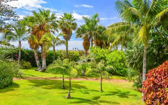 CK Turancar, Letecký poznávací zájazd, Španielsko, Tenerife - sopečný skvost Atlantiku, Puerto de la Cruz CK Turancar, Letecký poznávací zájazd, Španielsko, Tenerife - sopečný skvost Atlantiku, Puerto de la Cruz