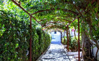 Club Lyda - hotel - letecký zájazd CK Turancar - Kréta, Gouves