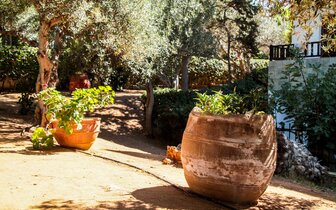 Club Lyda - hotel - letecký zájazd CK Turancar - Kréta, Gouves