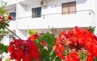 Hotel Nikos - hotel - letecký zájazd CK Turancar - Faliraki, Rodos