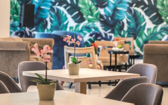 Tsokkos Protaras – lobby – letecký zájazd CK Turancar – Cyprus, Aya Napa