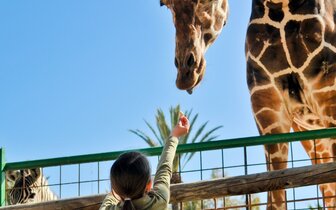 CK Turancar, autobusový poznávací zájazd, Legoland a ZOO Hellabrunn, zoologická záhrada