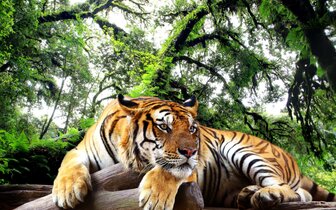 CK Turancar, autobusový poznávací zájazd, Legoland a ZOO Hellabrunn, zoologická záhrada