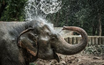 CK Turancar, autobusový poznávací zájazd, Legoland a ZOO Hellabrunn, zoologická záhrada