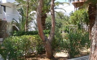 Avra Palm Hotel - záhrada - letecký zájazd CK Turancar - Kréta, Koutsounari