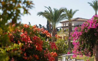 Grecotel Lux Me Kos - hotelový areál - letecky zájazd CK Turancar - Psalidi, Kos