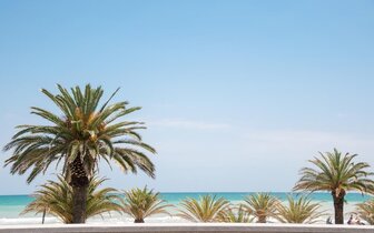 Apartmány Riviéra- okolie - zájazd vlastnou dopravou CK Turancar - Taliansko - San Benedetto del Tronto - Palmová riviéra