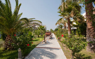 Hotel Tigaki - záhrada - letecky zájazd CK Turancar - Tigaki, Kos