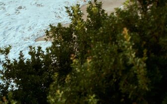 Hotel White Rock of Kos - pláž a more - letecky zájazd CK Turancar - Kefalos, Kos