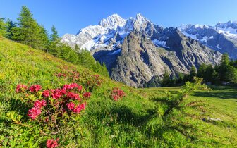 Autobusový poznávací zájazd CK Turancar, Údolie Aosta - Mont Blanc a Turín, Courmayeur, Mont Blanc Autobusový poznávací zájazd CK Turancar, Údolie Aosta - Mont Blanc a Turín, Courmayeur, Mont Blanc