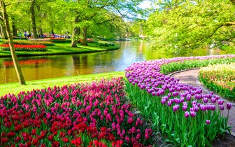 CK Turancar, Letecký poznávací zájazd, Holandská tulipánová cesta, Keukenhof CK Turancar, Letecký poznávací zájazd, Holandská tulipánová cesta, Keukenhof